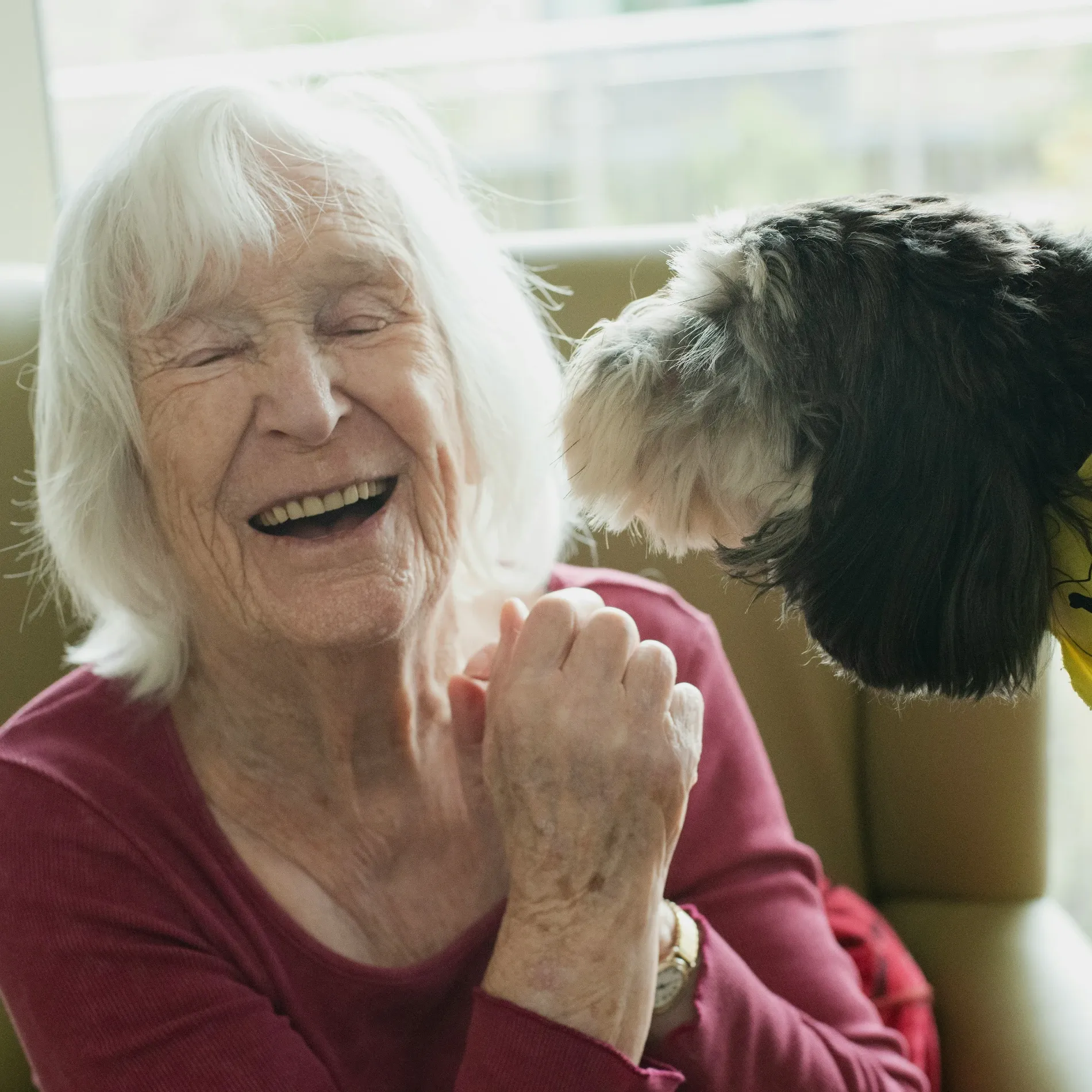 Grief & Aging